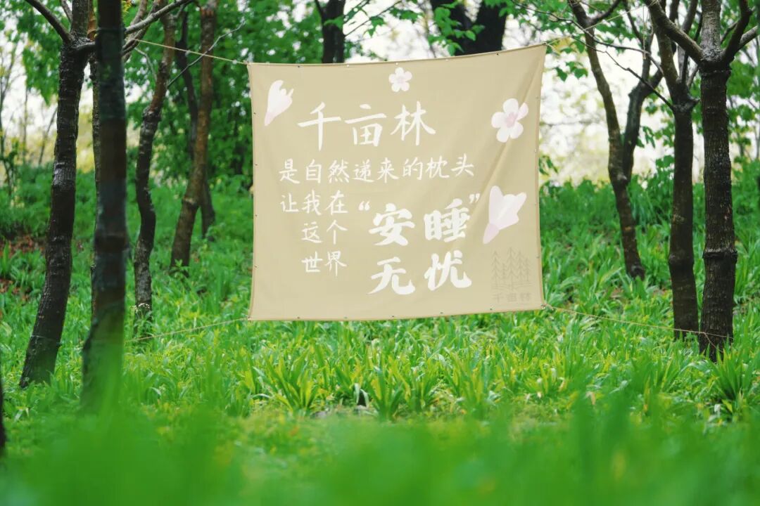千亩林